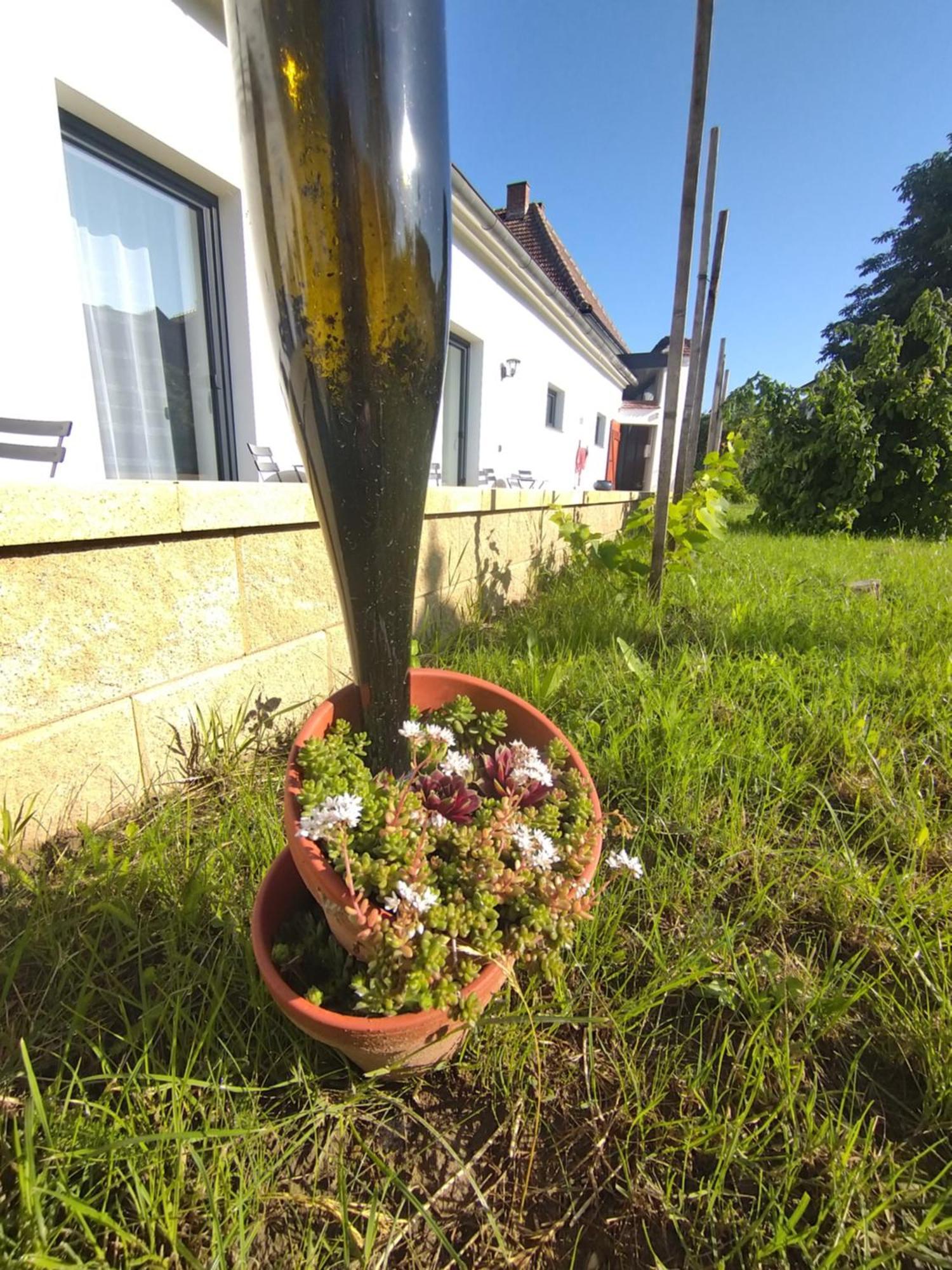 Weingut Thomas Brandl Bed and Breakfast Strass  Buitenkant foto